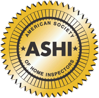 Everyday Tools: What's in My Tool Belt?  American Society of Home  Inspectors, ASHI